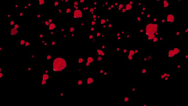 4k abstract  beautiful red rose falling on the black background