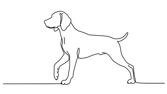 Animated continuous one-line drawing of a standing pointer dog.