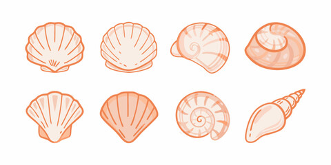 A collection of hand drawn orange toned seashells in various shapes © Dipu