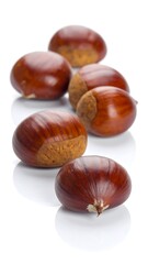 Close-up of six glossy, brown, nuts, arranged in a diagonal line, with textured, lighter colored tips. The surface is reflective