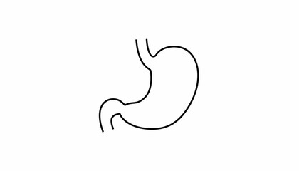 Simple Outline Drawing of Human Stomach Anatomy, Medical Illustration
