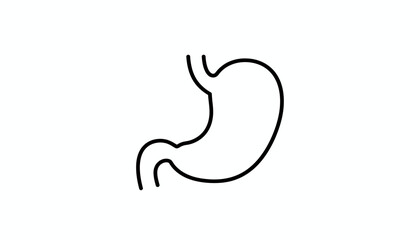 Fototapeta premium Simple Line Drawing of Human Stomach, Medical Icon, Anatomy Illustration