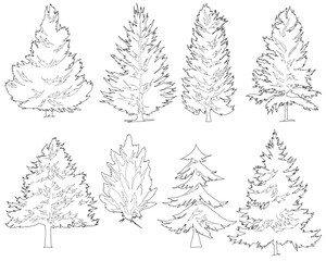 Obraz premium collection of minimalist pine tree sketches, highlighting the diverse natural geometry and rugged contours of coniferous flora in a clean, hand-drawn style.