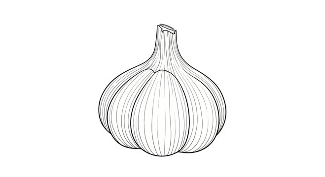 Garlic Bulb Outline Drawing, Fresh Ingredient for Cooking, Healthy Food