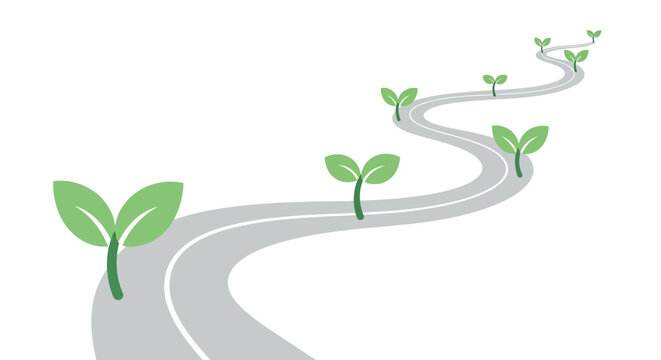 Seedlings Growing Along Winding Road Path.