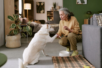 Senior Caucasian woman training dog indoors, holding paw and offering treat, sitting on floor near...