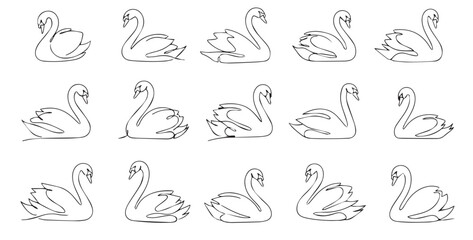 Continuous line drawing of swan set, minimalist elegant bird vector illustration, set of graceful swan silhouettes for logo and branding. © Shahnaz