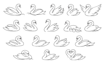 Elegant swan line art collection, minimalist bird silhouettes in various poses, graceful continuous line swan sketches for logo and branding.