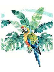 Parrot Poster