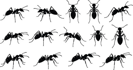 Black silhouette of ant collection featuring various insect poses including crawling and top view isolated on white background cad drawing flat vector illustration © Riya