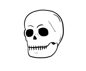 Fototapeta premium simple skull digital drawing illustration isolated