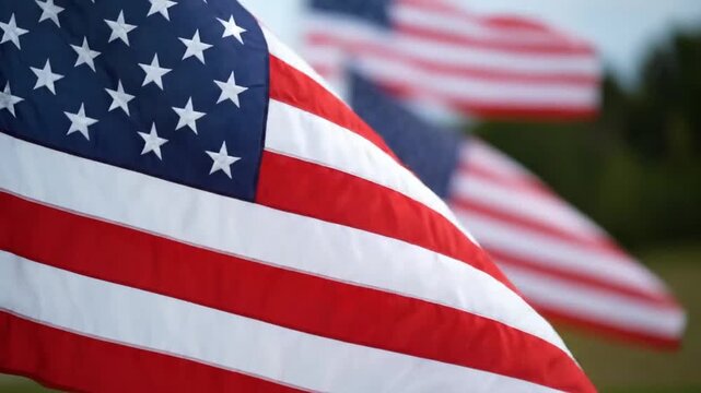 American flags waving in the wind during a patriotic event outdoors