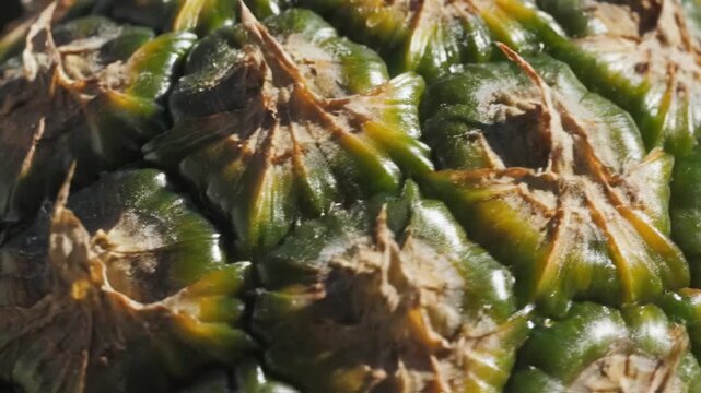 Close up of a ripe pineapple surface texture detail.