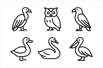 Minimalist line art illustration featuring six different bird species in a row