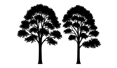 Fototapeta premium Elegant Sycamore Tree Silhouettes Isolated Forest Landscape Vector Design