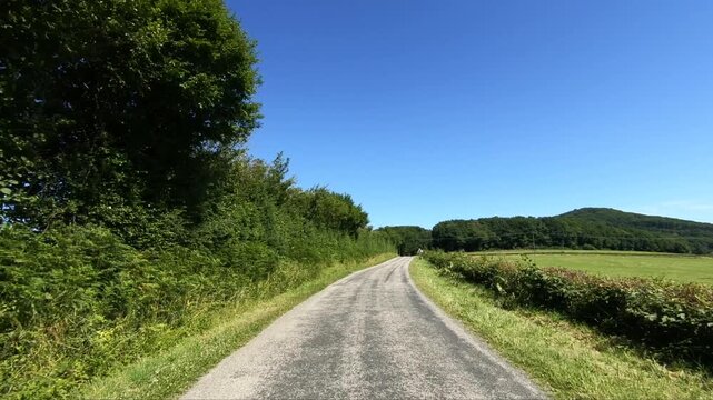 Straight country road in the Morvan region, bordered by lush greenery and fields under a bright blue sky. Peaceful rural landscape ideal for travel and nature concepts.