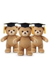 卒業の仲間たち