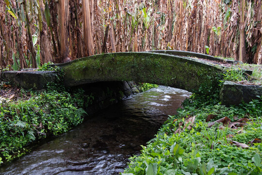 A charming small stone bridge over a quiet stream