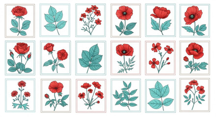 Collection of red poppy flowers and green leaves in square frames on white background for decoration and design