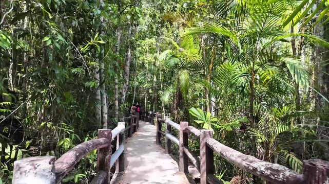 Wooden bridge walkway through the tropical jungle leading to the Emerald Pool water park in Krabi Thailand