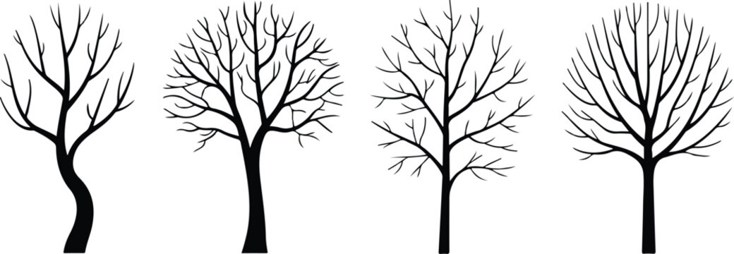 Leafless tree silhouettes collection vector illustration set featuring detailed bare branches for natural forest and winter design projects