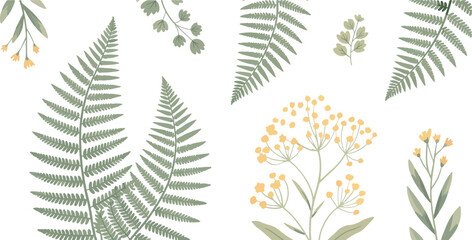 Botanical fern and wild herb elements vector illustration set featuring delicate leaves and flowers isolated on white for nature designs © Creative design