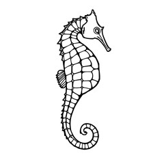 Fototapeta premium Elegant Seahorse Silhouette Hand-Drawn in Black Line Art on a Clean White Background, Ideal for Marine Life and Ocean-Themed Designs