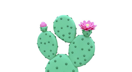 Prickly Pear Cactus with Pink Flowers