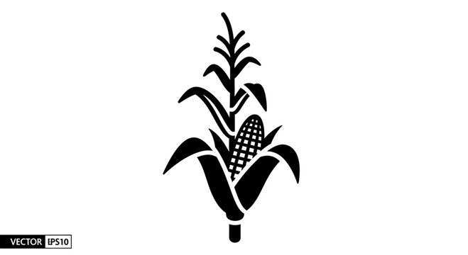 Black and White Corn Stalk Icon with Cob and Leaves, Simple Vector Illustration
