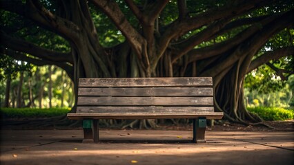 An aged wooden park bench sits peacefully beneath the sprawling branches of a massive banyan tree.