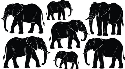 Collection of African elephant silhouettes in various walking and standing poses isolated on white background for wildlife conservation nature safari and animal graphic designs © MstFerdousi