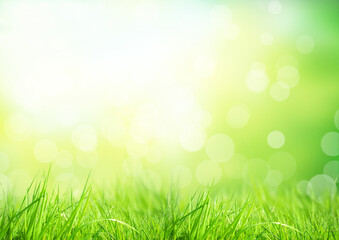 Obraz premium Fresh green grass with bright sunny bokeh in the background, creating a clean natural eco backdrop perfect for spring, summer and wellness concepts
