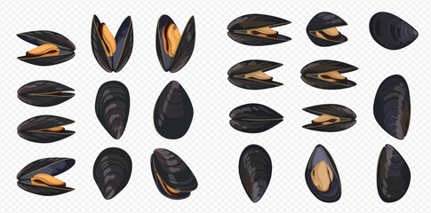 Set of fresh raw and cooked mussels in black shells, seafood collection isolated on transparent background. © MuammarAuliyan