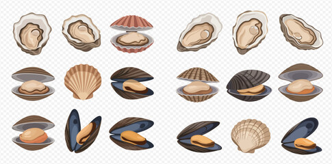 Collection of various fresh seafood including oysters, mussels, and scallops, ready for cooking or consumption. © MuammarAuliyan