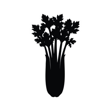 Celeriac with green leaves silhouette vector illustration for culinary and healthy eating concepts, celery silhouette vector illustration