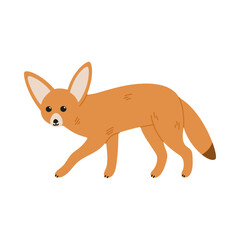 Fennec fox illustration walking isolated on white background desert animal