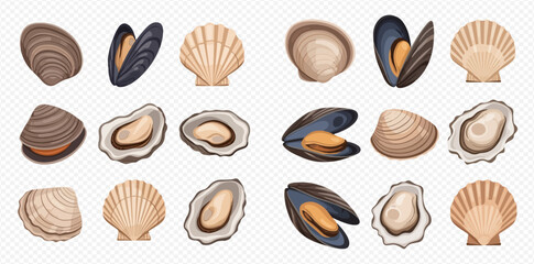 Collection of various fresh seafood shells including mussels, oysters, and scallops, ready for culinary use. © MuammarAuliyan