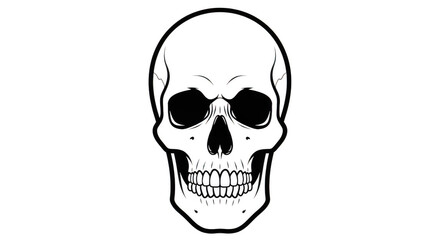 Fototapeta premium A black and white illustration of a human skull isolated on transparent background
