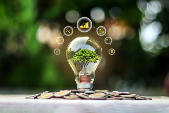 A light bulb with a growing tree sits on a pile of coins, surrounded by business strategy icons, against a green nature background.