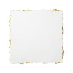 Obraz premium Luxury White Square Paper with Gold Foil Deckle Edges, Elegant Ripped Paper Sheet for Wedding Invitation, isolated on white and transparent background, PNG