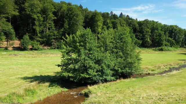 Lush green trees by a small stream in the Morvan countryside on a sunny summer day, with a forest in the background and clear blue sky.
