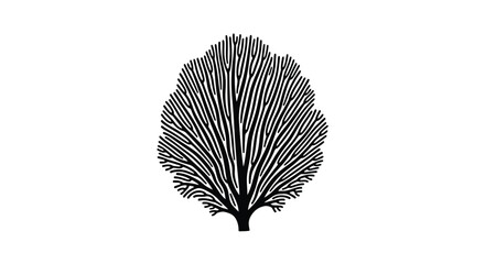 A detailed black and white illustration of a feather like coral structure © msunny93