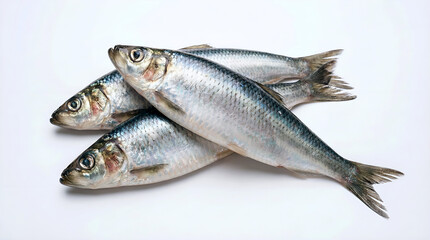Fototapeta premium Fresh raw fish arranged on white background with natural seafood
