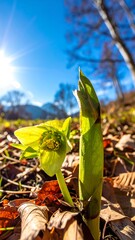 A low-angle view of a green flower amidst autumn leaves