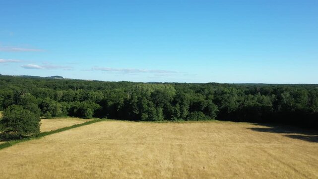 Aerial view of golden fields and dense green forest under a clear blue sky in the Morvan countryside, France. Peaceful rural landscape on a sunny summer day.