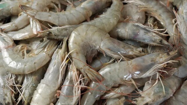 closeup of fresh raw white shrimps or prawns background