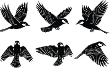 Naklejka premium Set of six black bird silhouettes in flying poses with spread wings, wildlife nature vector illustration isolated on white background for design