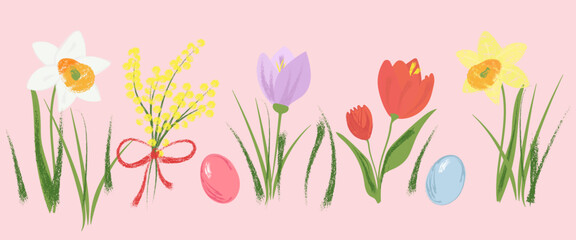  Hand-drawn with pencil, crayon, pen, marker, chalk, or brush spring border with daffodil, tulip, crocus and mimosa flowers with pastel Easter eggs. Crayon style For greeting card, banner, holiday  © loli