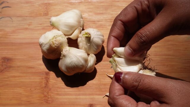 Fresh Garlic Bulb Allium Sativum Prepared Cooking Preparation