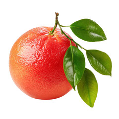 ripe grapefruit with leaves isolated on white background.